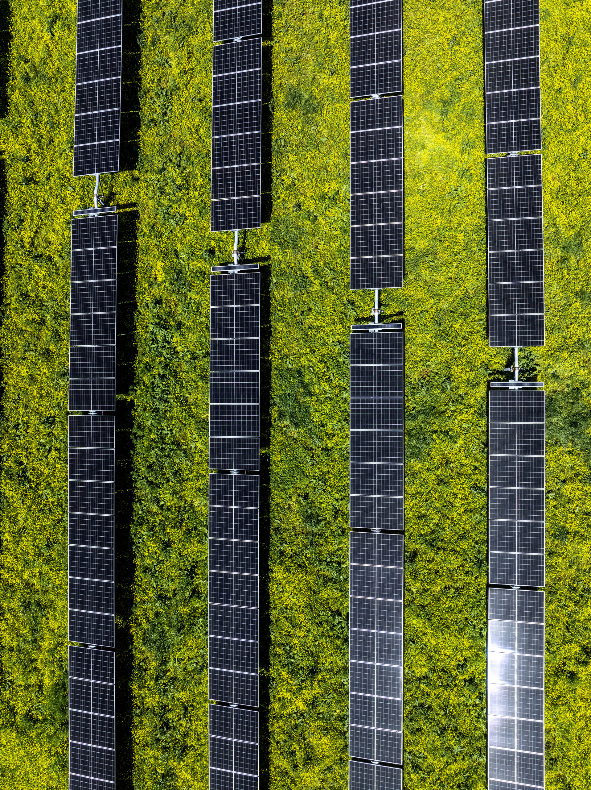 JERA Nex announces strategic partnership with Catalyst Energy Partners to advance U.S. clean energy deployment