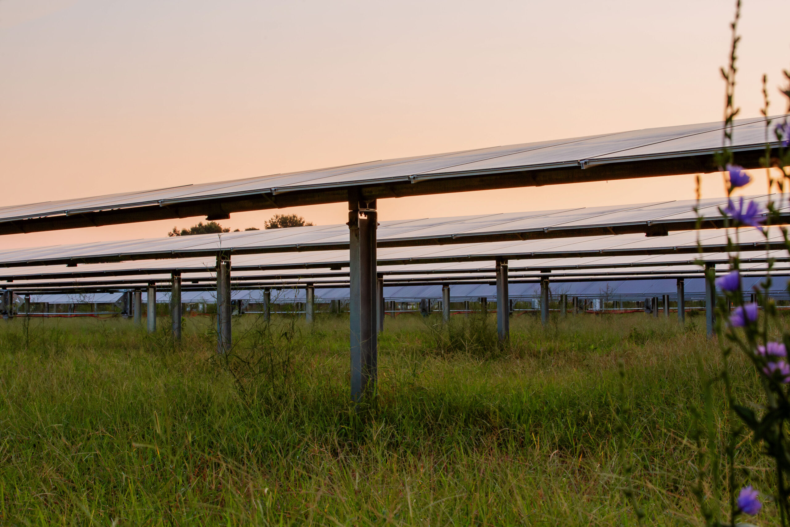 Happy solar farm in Arkansas