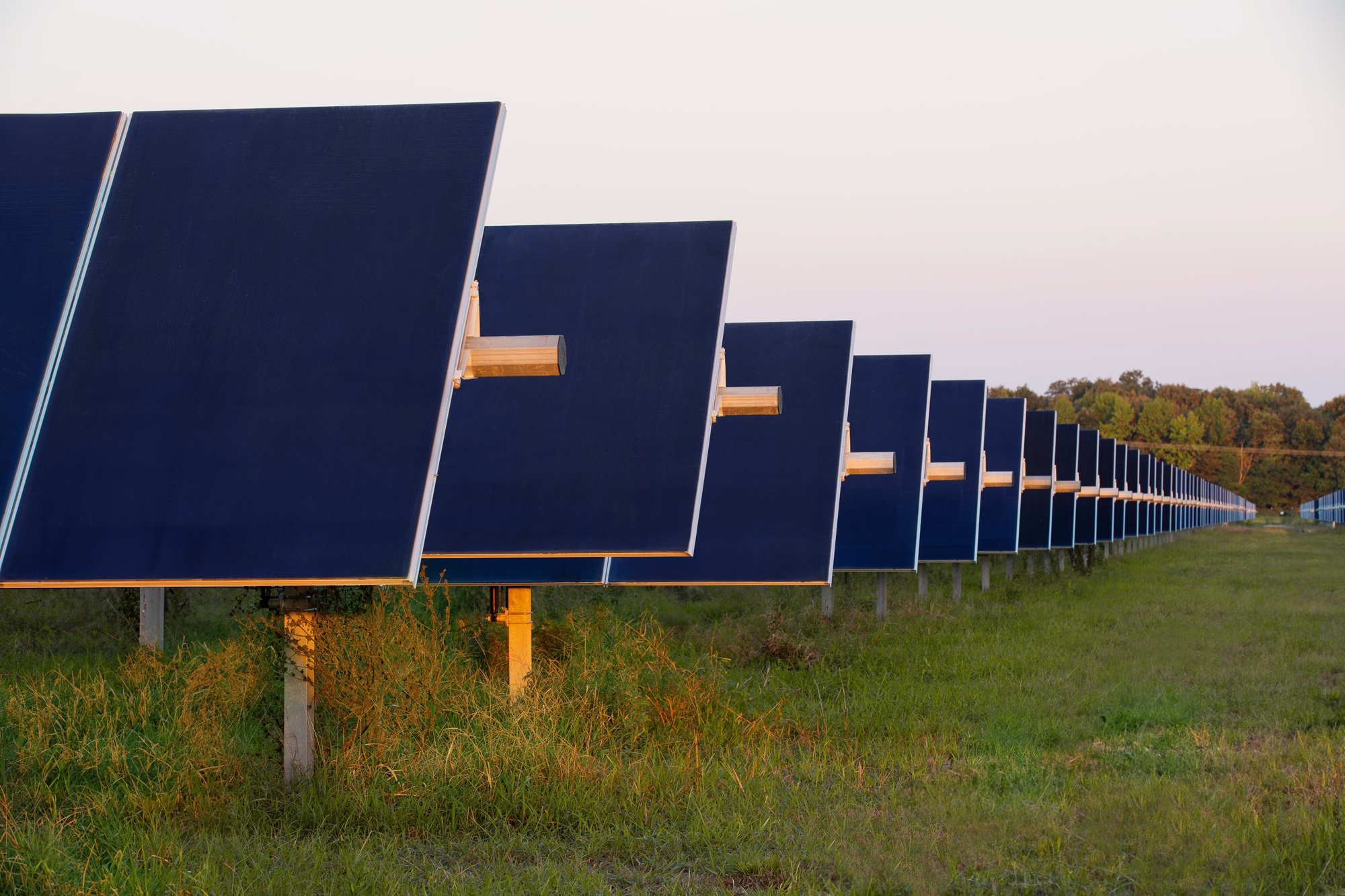 Schroders Greencoat acquires a 50% stake in JERA Nex’s 395MW US solar portfolio